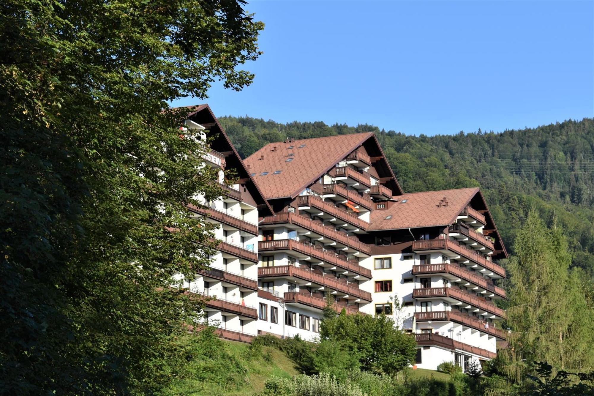 Apartment D 'Freizeit Bad Goisern Eksteriør bilde